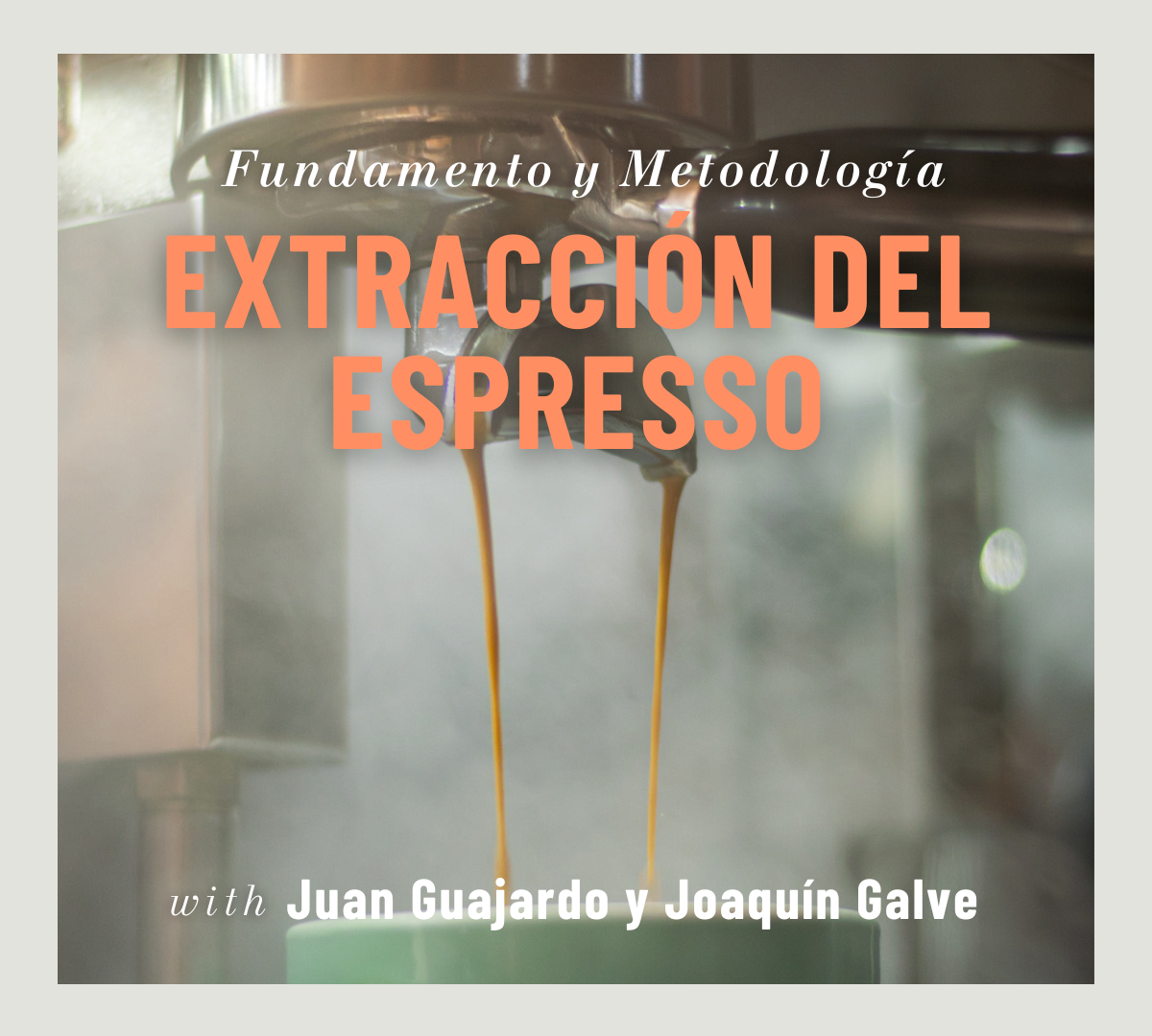 Fundamento y Metodología de la Extracción del Espresso (04/11 al 12/11)