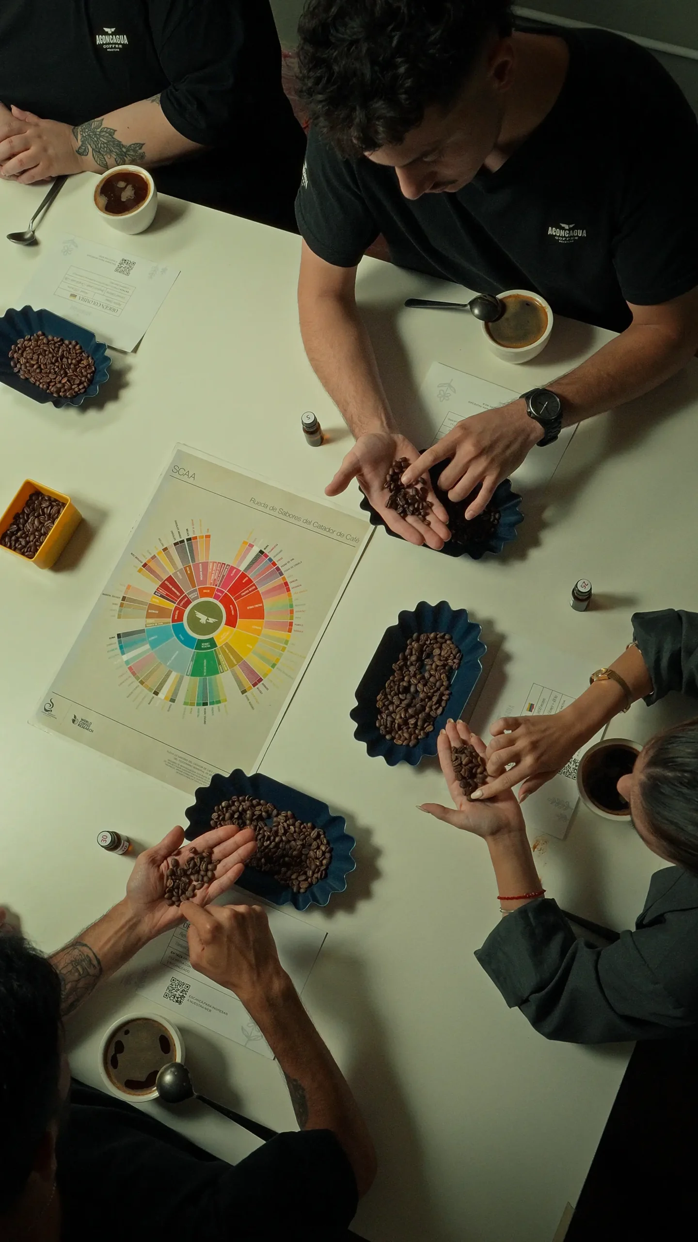 Cata de café en Aconcagua School