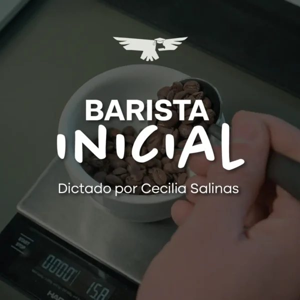 Barista Inicial - Turno mañana