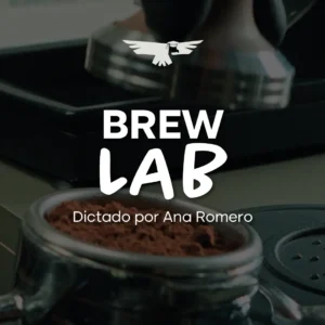 The Brew Lab