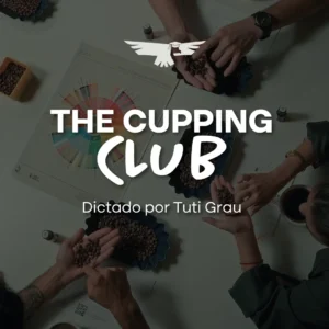 Cupping Club - Sesión 04