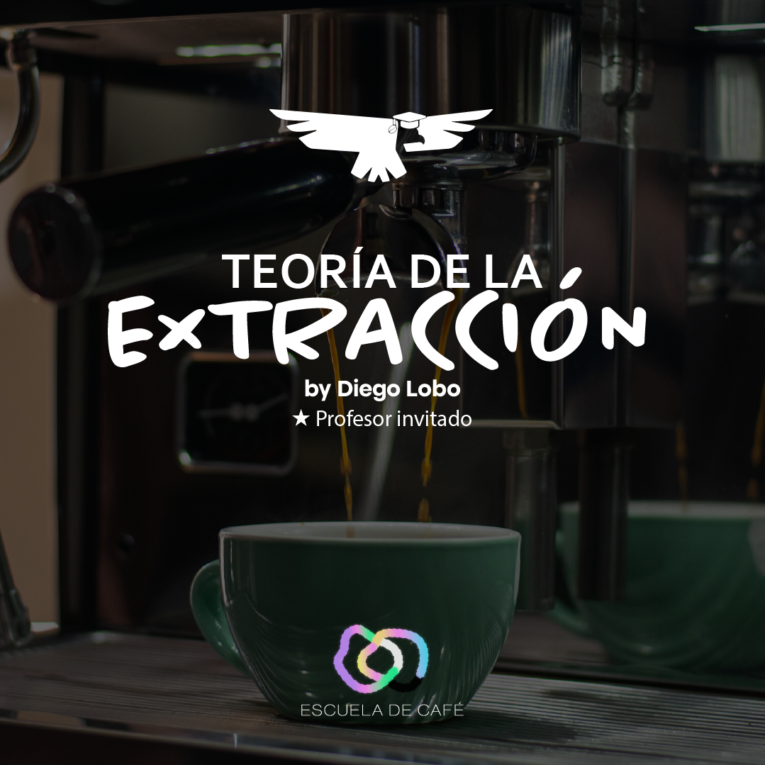 Workshop Teoría de la Extracción x Diego Lobo