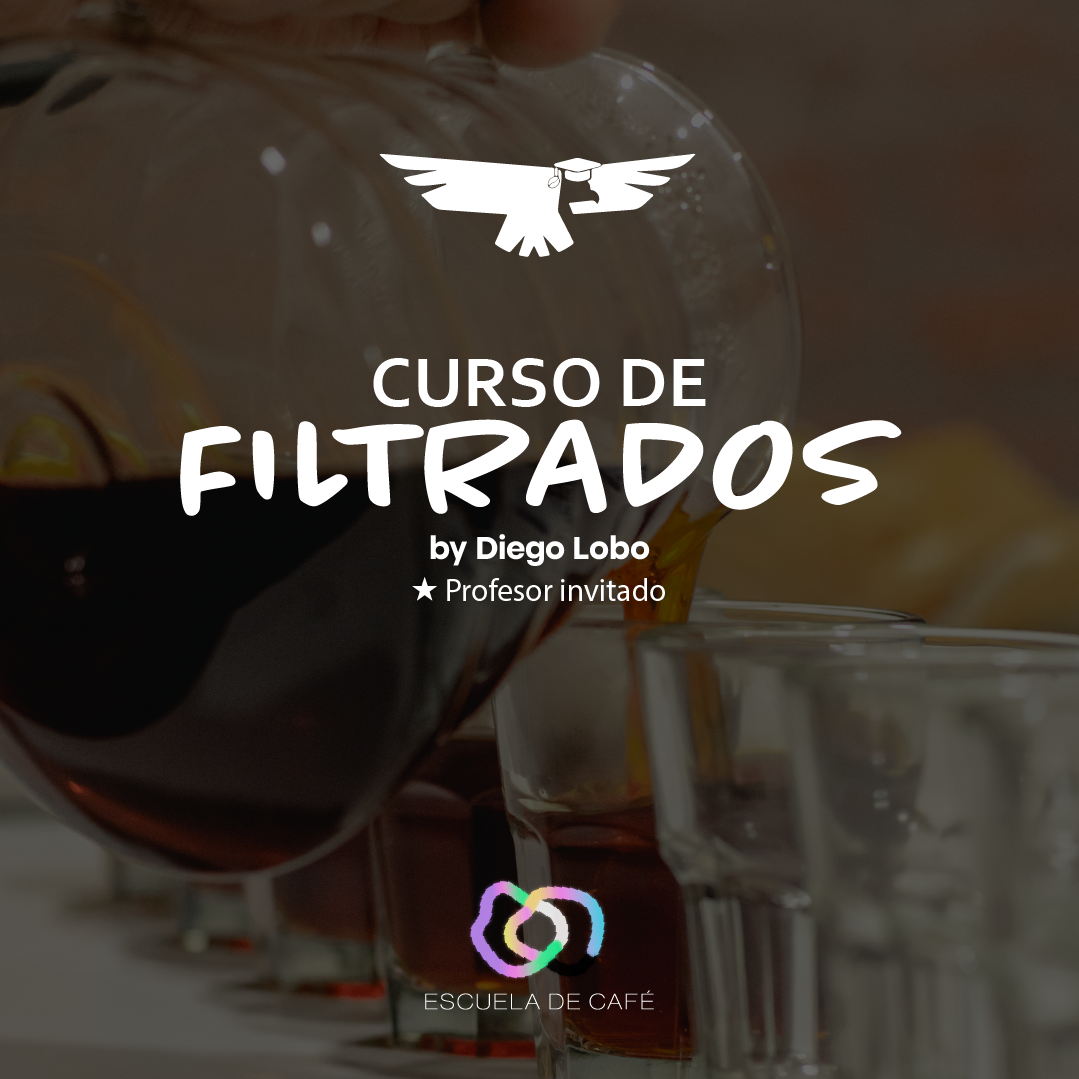 Curso de Filtrados x Diego Lobo