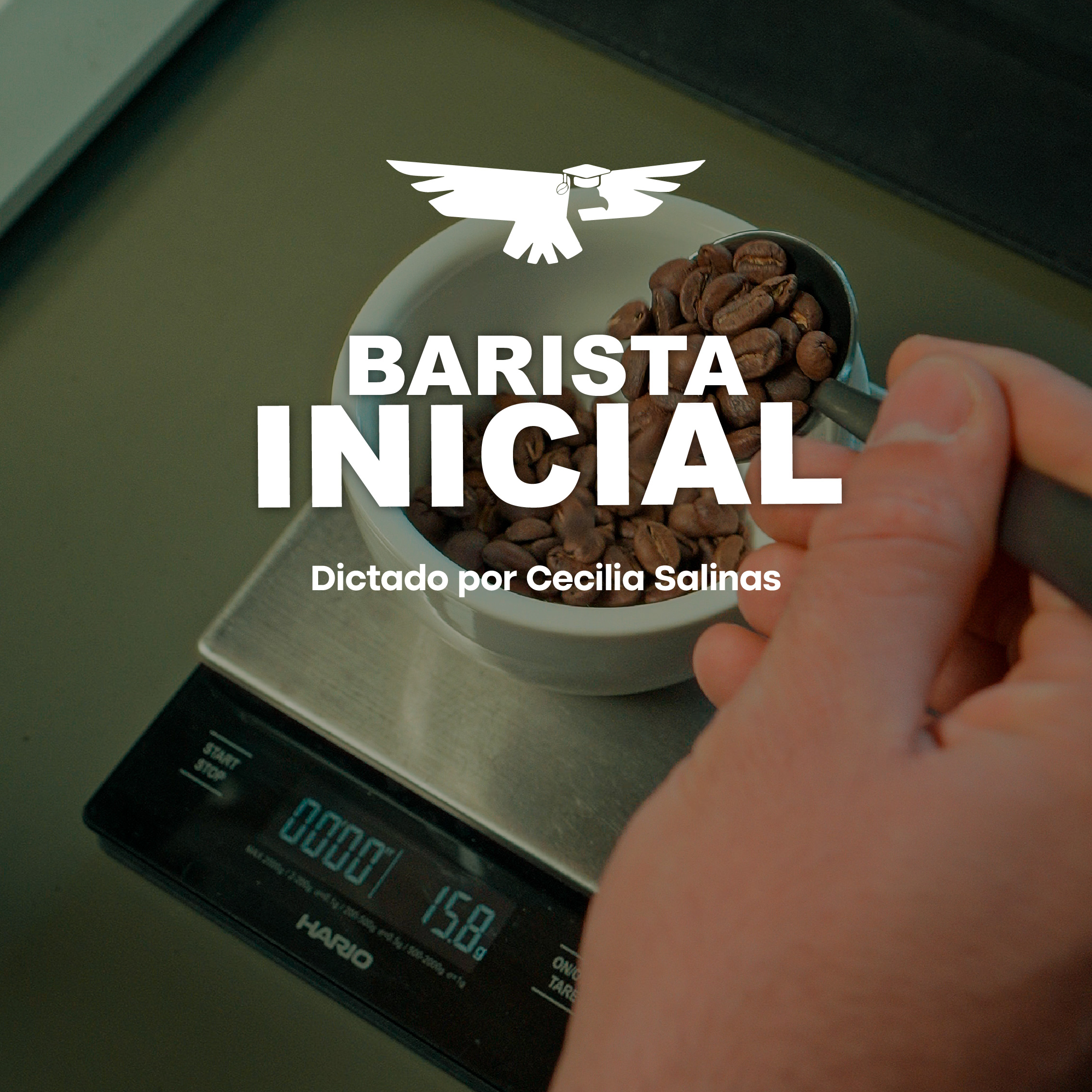 Barista Inicial – Turno tarde