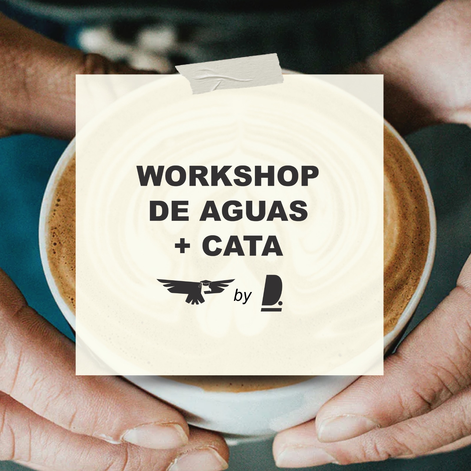 Workshop de aguas + cata