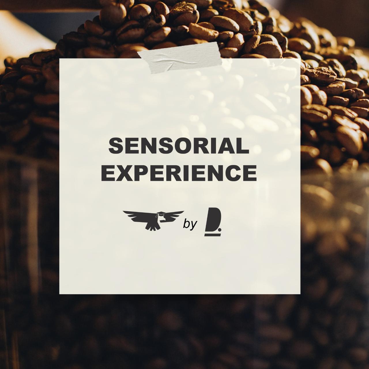 Sensorial Experience