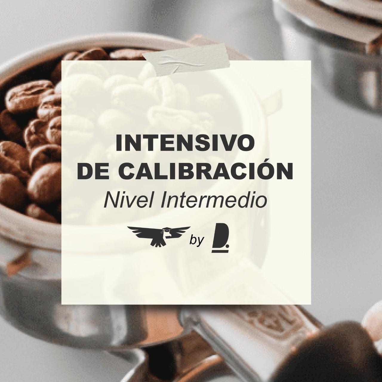 Intensivo de Calibración