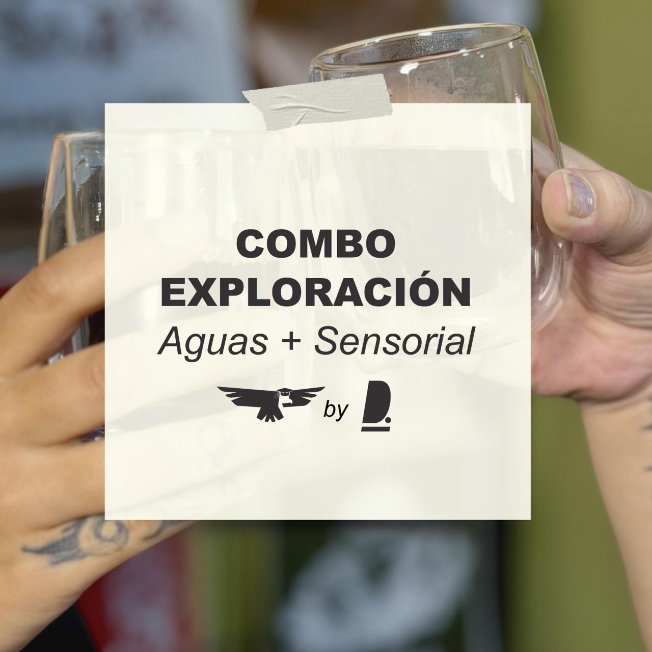 Combo Exploración